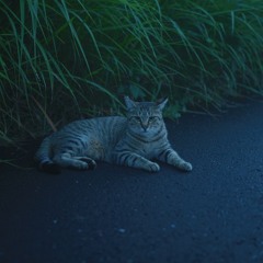 ミレニアムだ この野郎