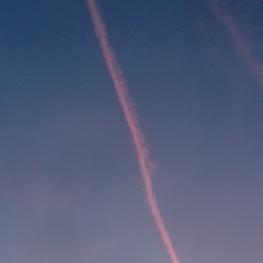 tardigrade upgrade (beat)