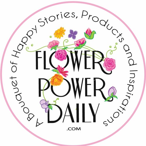 Stream episode Holiday Flower Power Daily: Jill Brooke on Our Lives with  Shannon Fisher by Authors on the Air Global Radio Network podcast | Listen  online for free on SoundCloud
