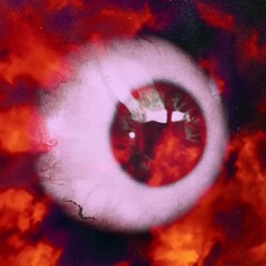 Show Me Love [2022]