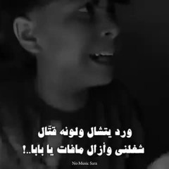 رمش خطاف ادم الامير