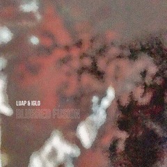 Paul Hauck & IGLO - Blurred Fusion EP [PH002] Previews (Remixes: Alarico, TWR72, Rove Ranger)
