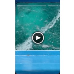 Baby Tate X Gucci Mane- S.H.O Freaky Girl (Mashup)