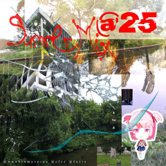 SUMMER#MIX@25