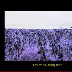 //deadflowerswashedoverourgraves