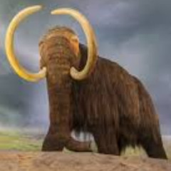 Mastodon (Last March) (M:KR 2020,Remix:W.Eggert,Label:ZOUNDR 2020)