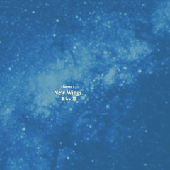 NEW WINGS