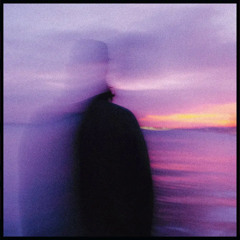 Leaving Time - Still
