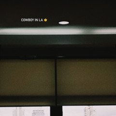 cowboy in LA - LANY [late night mix]