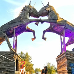 Celice @ Garbicz Festival 2022 - Buk Corner