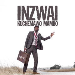 Ndichazofarawo