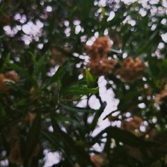 backyard beetle - person of interest (prod. heydium)
