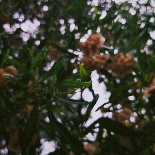 backyard beetle - person of interest (prod. heydium)
