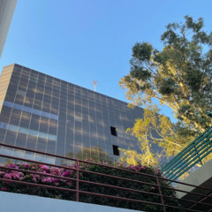 Everything (prod debbie)