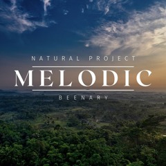 2024 MELODIC HOUSE MIX VER.2 - BEENARY