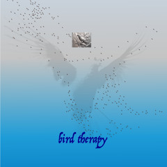 Bird Therapy : Marine Tartine (01.10.25)