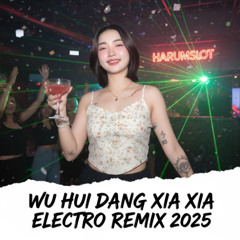 潘德林 vs 文迪 vs 小金JoJo - 无悔当下 (Wu Hui Dang Xia) Electro Remix 2025 | Harumslot Manyao Mix
