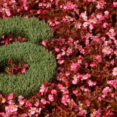 TRAPtric RELAXATION 6