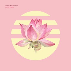 [PREMIERE] November Rose - Lotus Rising