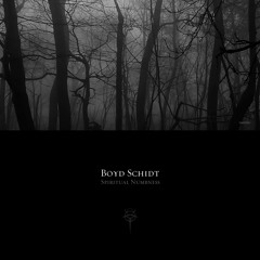 BOYD SCHIDT feat. TASIME - Ziellos
