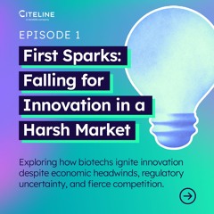 First Sparks: Falling for Innovation in a Harsh Market