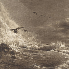 Mar Rojo