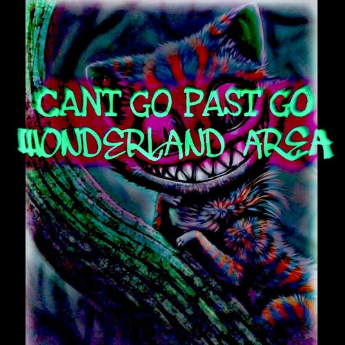 CANT GO PAST GO (WONDERLAND AREA)