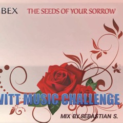 Sebastian S . Mix - LEWITT Music Challenge feat. Spitting Ibex