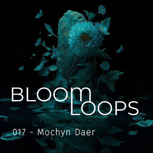 BLOOMLOOPS 017 | Mochyn Daer