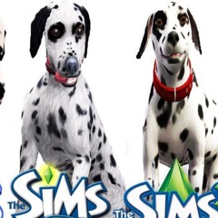 sims type shi nightcore [bloodcryY x s0lemn]