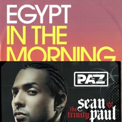 In The Morning X Temperature (DJ Paz Mashup) FREE DOWNLOAD