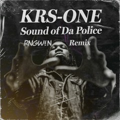 KRS-ONE - Sound Of Da Police (PNGWIN Remix) [FREE DOWNLOAD]