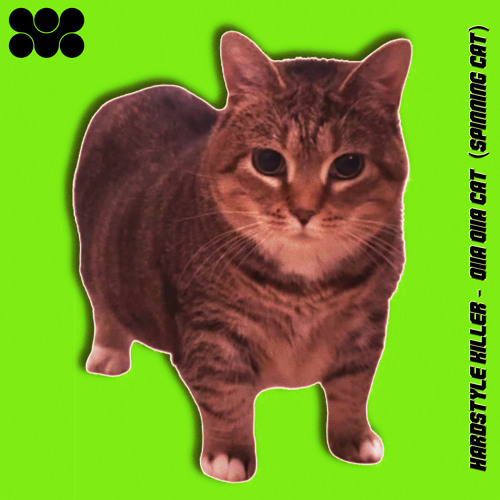 OIIA OIIA CAT (SPINNING CAT)