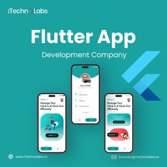 Trusted Flutter App Development Company In California - ITechnolabs