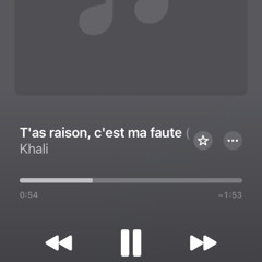 Khali - T'as raison, c'est ma faute (Prod. Nielsixxi)