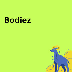 Bodiez (feat. Dtk Blacc)