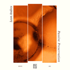 SYN Premiere: Leon Andres - Dove [BKHSX005]