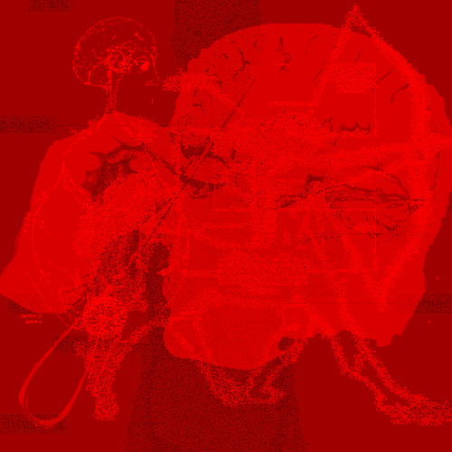 The fading hope in your eyes