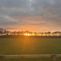 04 - There's no party, like a debrief party