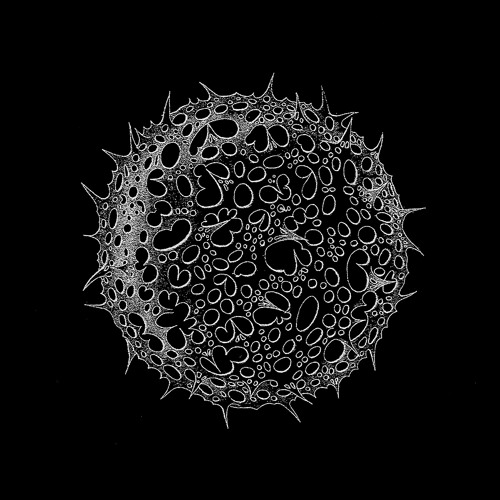RADIOLARIANS 016 / LUMPEX