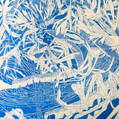 Les étoiles ne se font pas prier