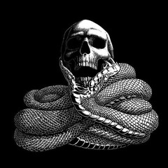 Darksnake Special Techno "Strong Summer Night 9" Radio TwoDragons 20.9.2020