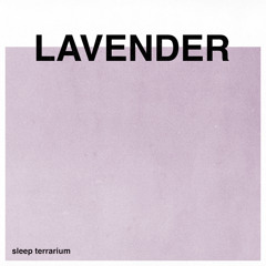 Lavender (Rain)