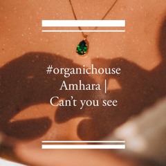 #organichouse Amhara | Can't you see Maldives 2021