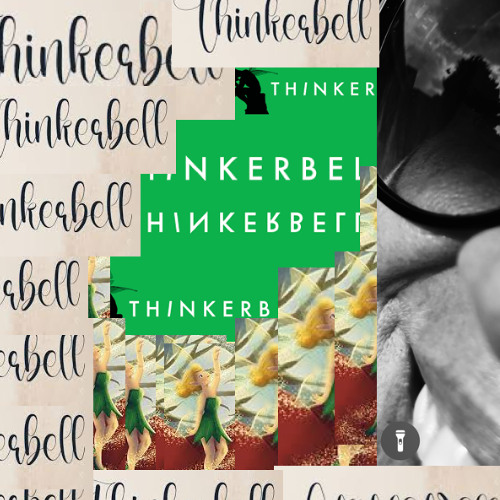 NIEZLE                       To my Thinker Bell
