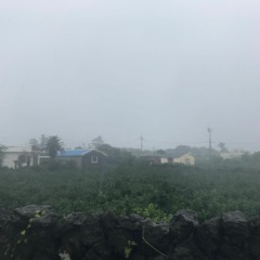 비가 오는 날의 MIX