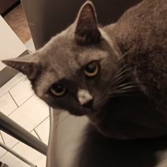 JegoMatch🙆🥳🎉🕺