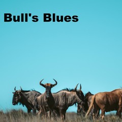 Bull's Blues
