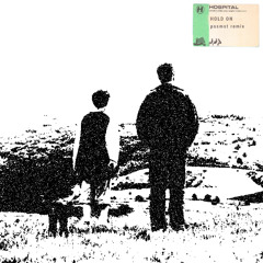 (FREE DL) Netsky, Becky Hill - Hold On (PSSMST EDIT)