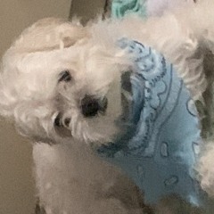 Soothing Angel - Teddy Griffith